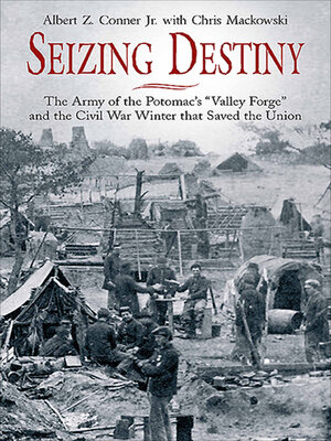 cover image of Seizing Destiny